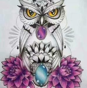 Meet your Posher, Sally